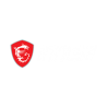 MSI